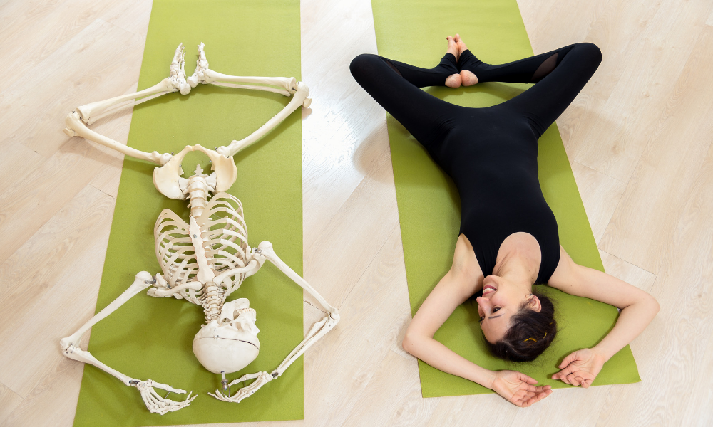 Yoga Anatomy: The Art and Science of a Human, Being