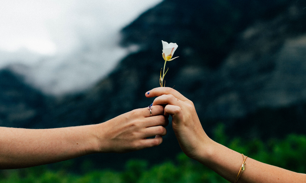 Gratitude in Having (and Being) Enough