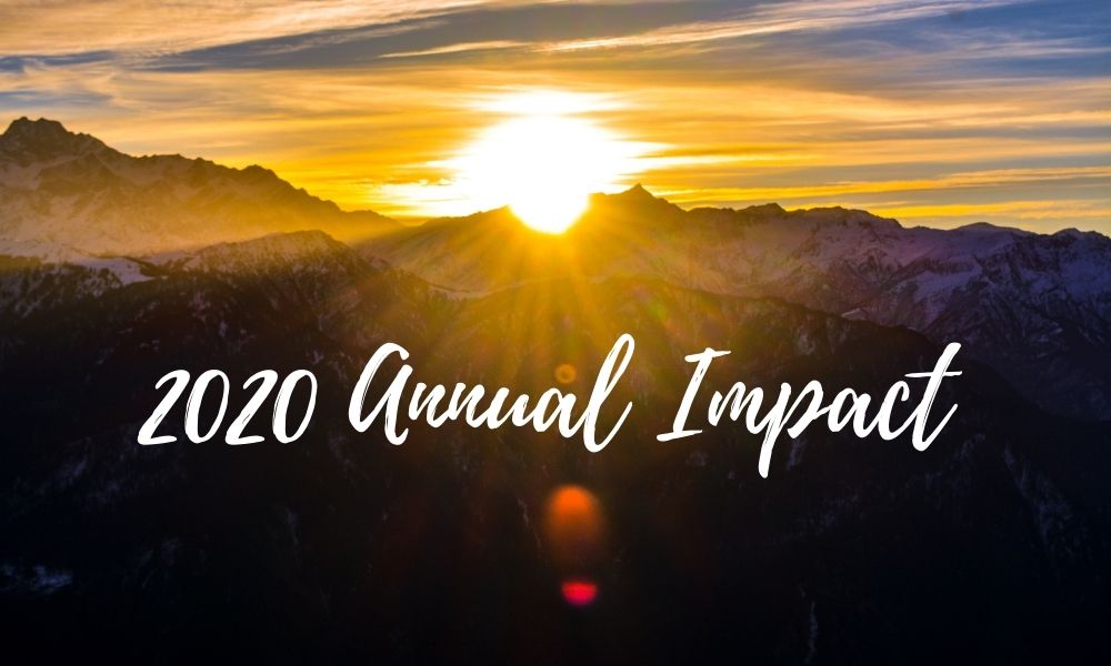 2020 Impact Report